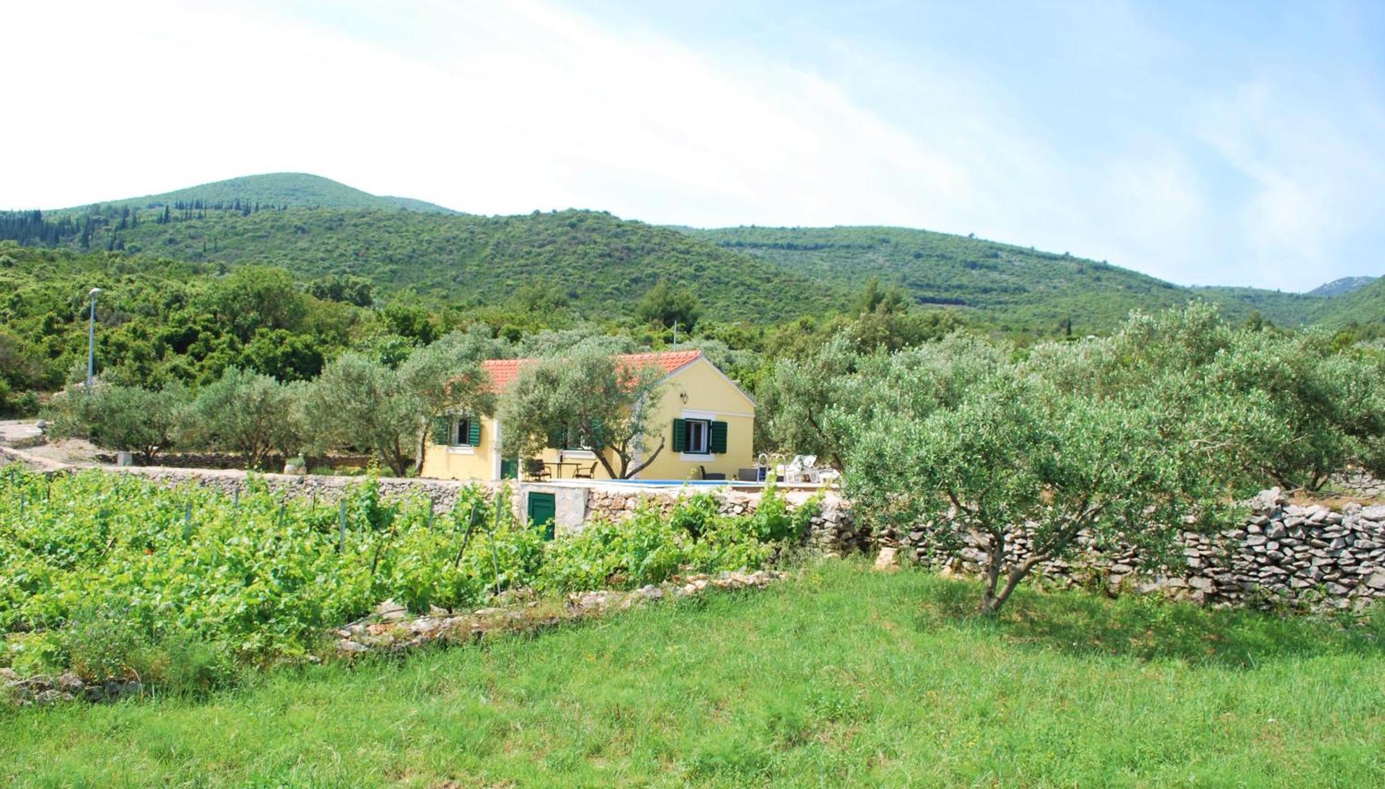Villa Vineyard House & Olive Grove House Račišće Exterior foto