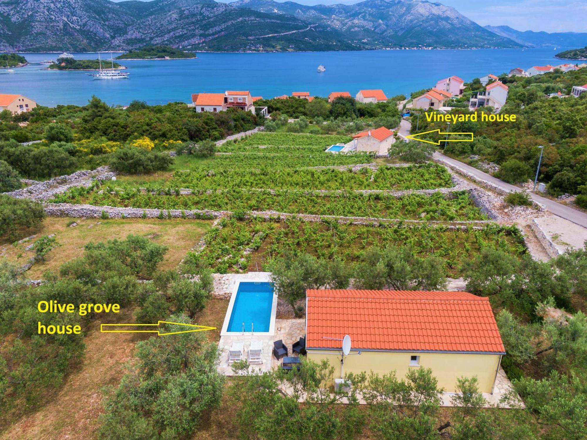 Villa Vineyard House & Olive Grove House Račišće Exterior foto