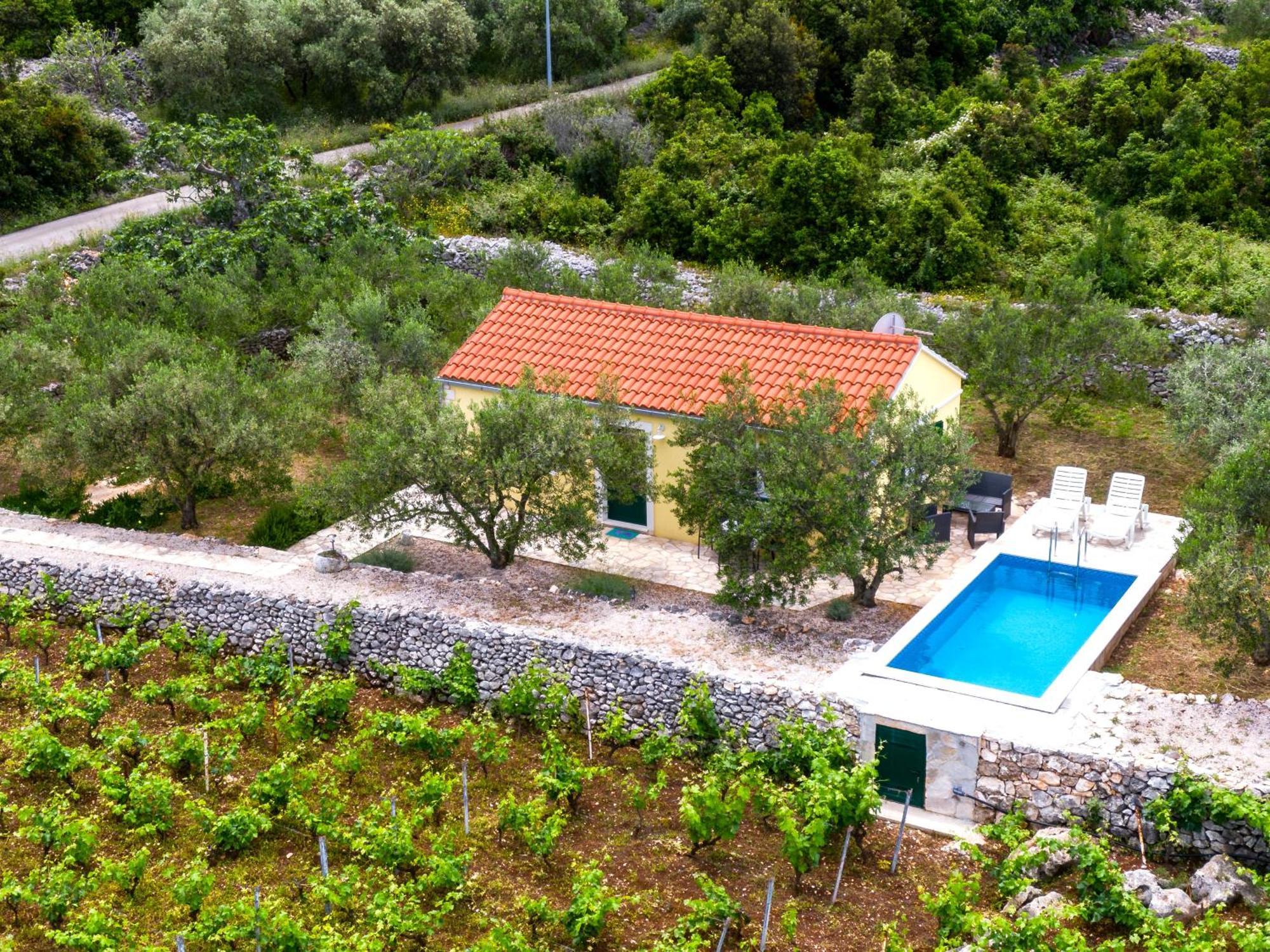 Villa Vineyard House & Olive Grove House Račišće Exterior foto