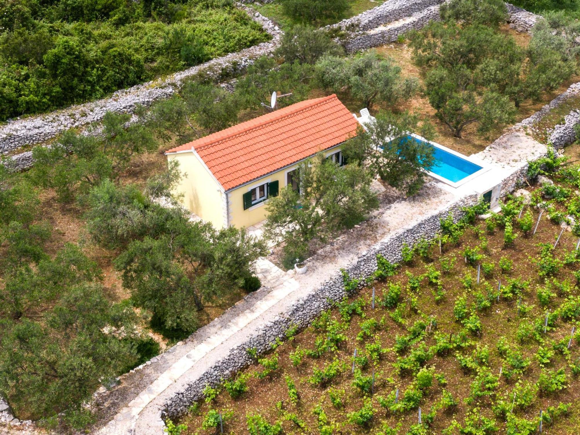 Villa Vineyard House & Olive Grove House Račišće Exterior foto