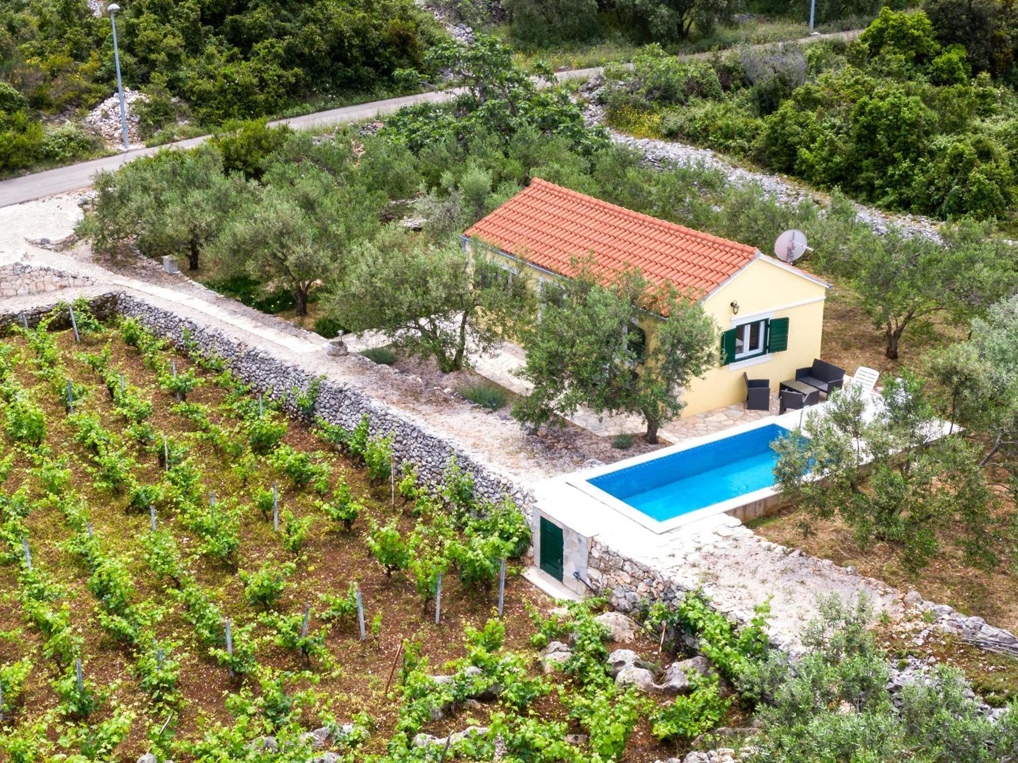 Villa Vineyard House & Olive Grove House Račišće Exterior foto