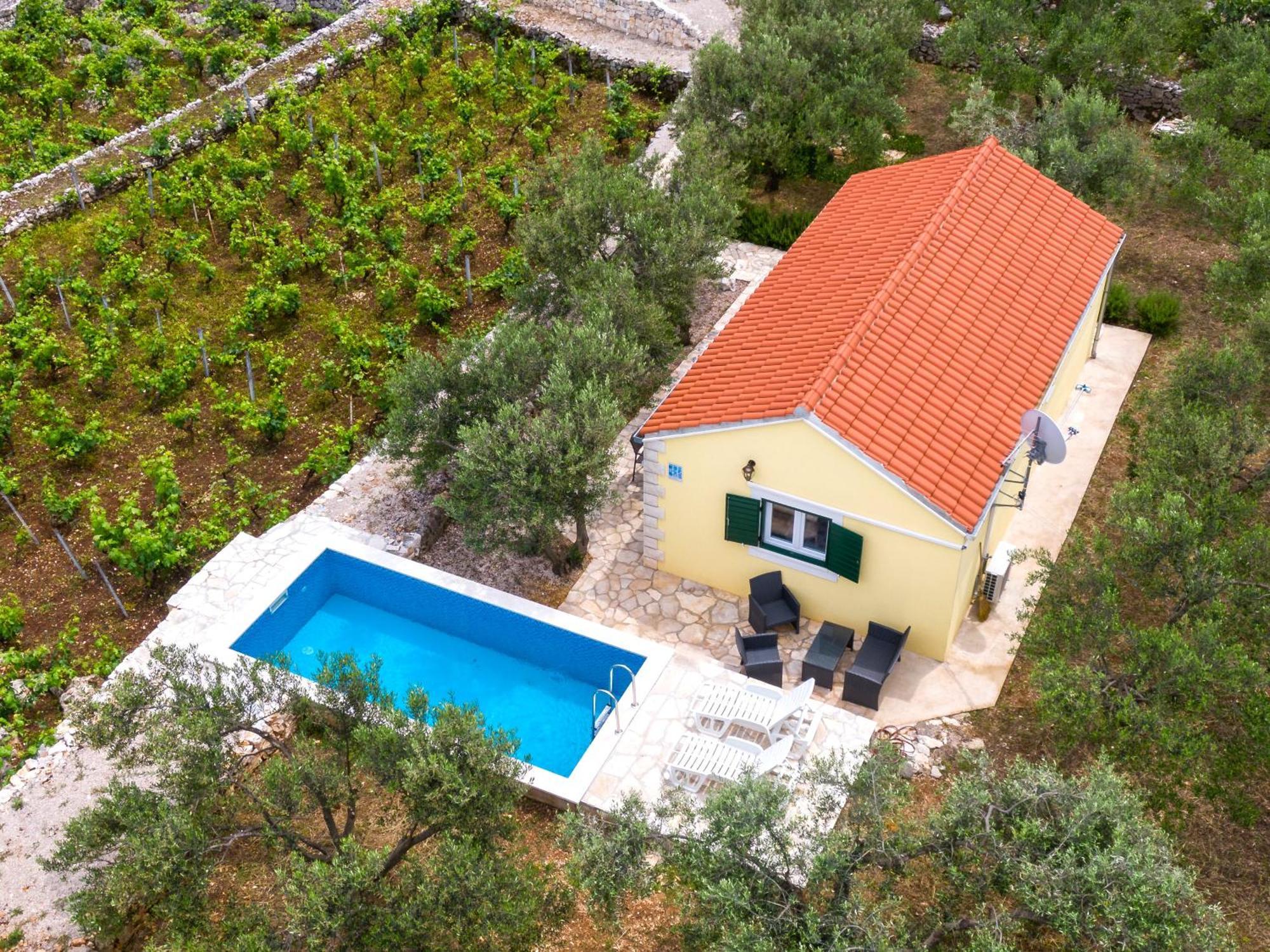 Villa Vineyard House & Olive Grove House Račišće Exterior foto