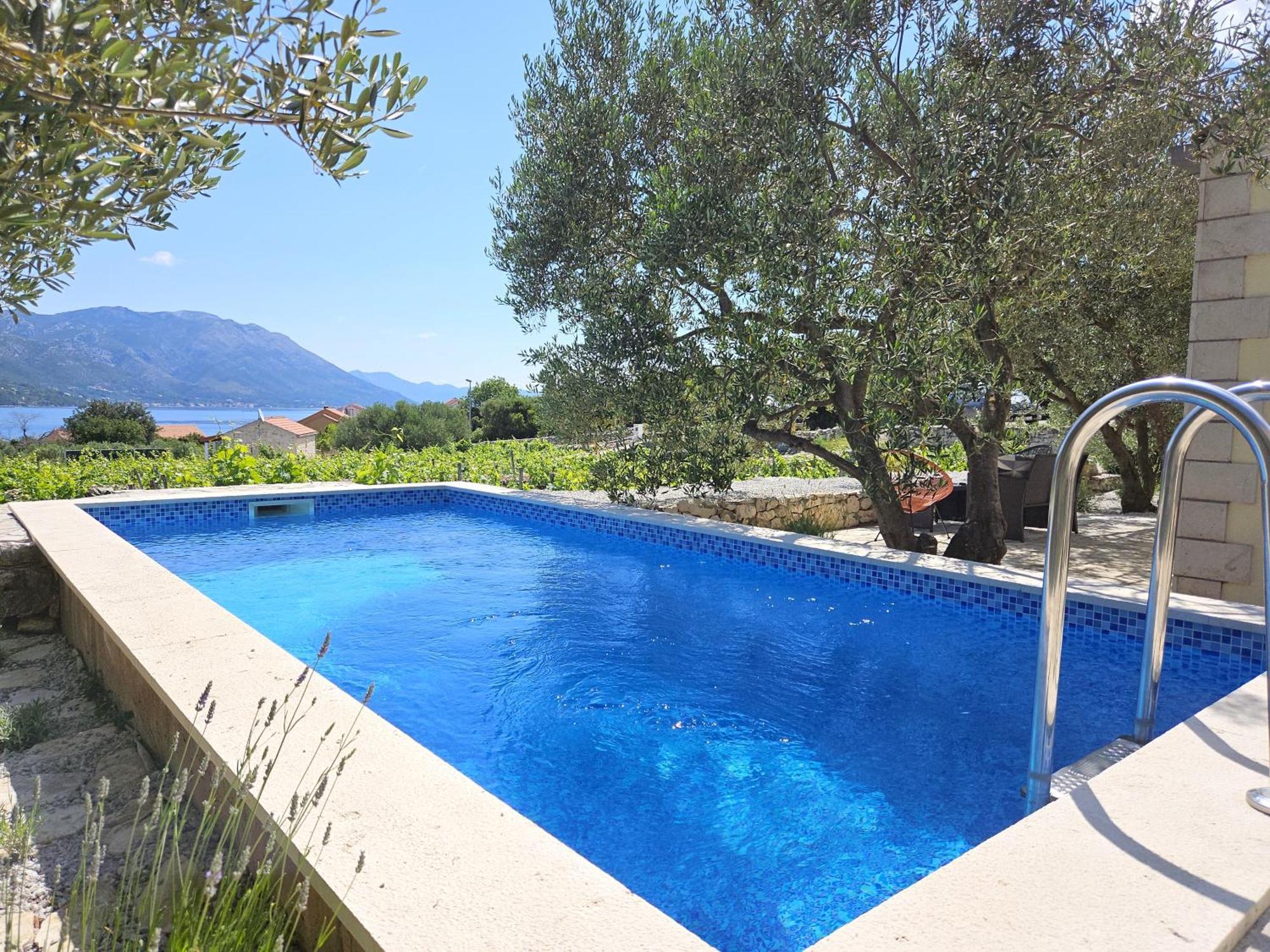 Villa Vineyard House & Olive Grove House Račišće Exterior foto