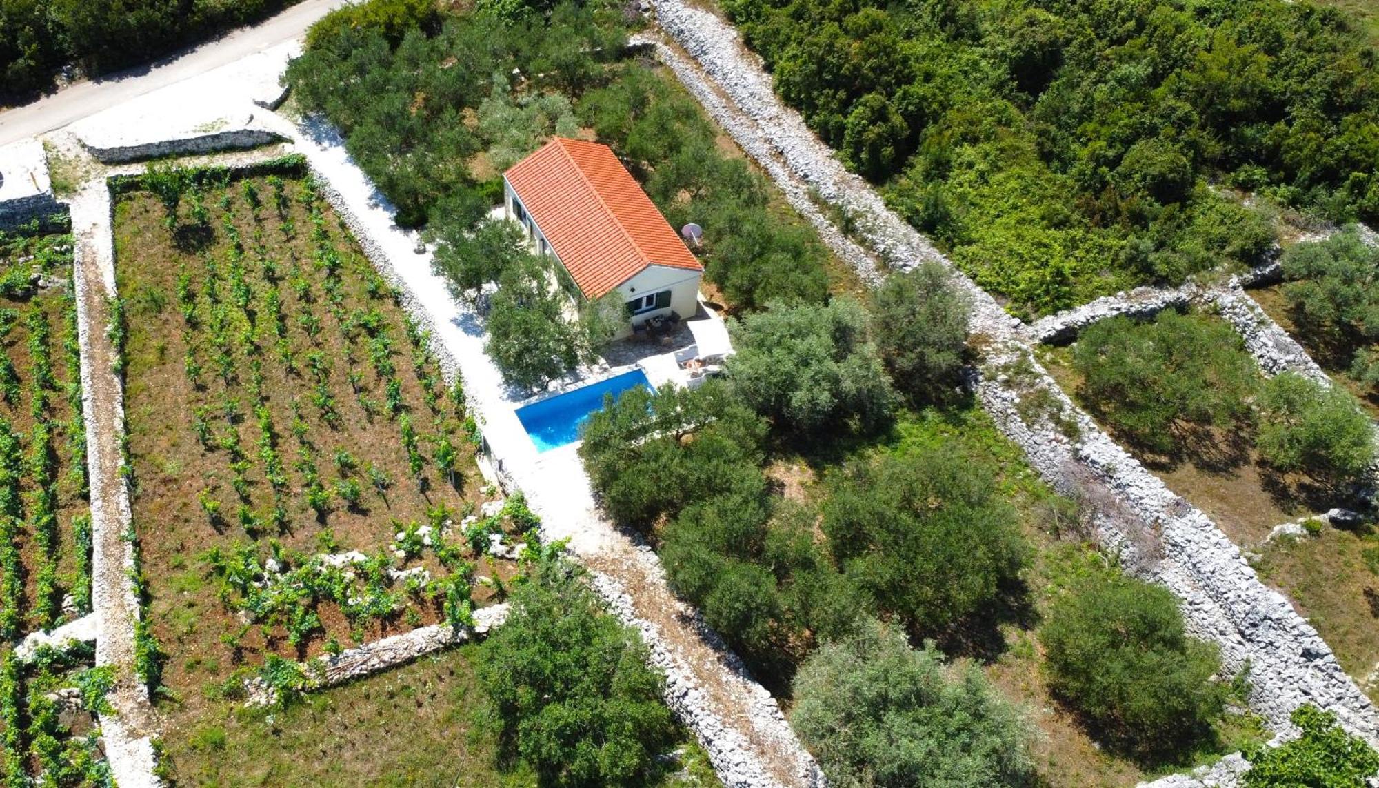 Villa Vineyard House & Olive Grove House Račišće Exterior foto