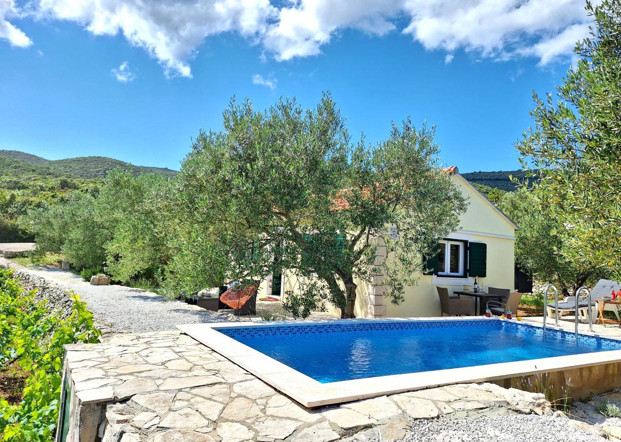 Villa Vineyard House & Olive Grove House Račišće Exterior foto