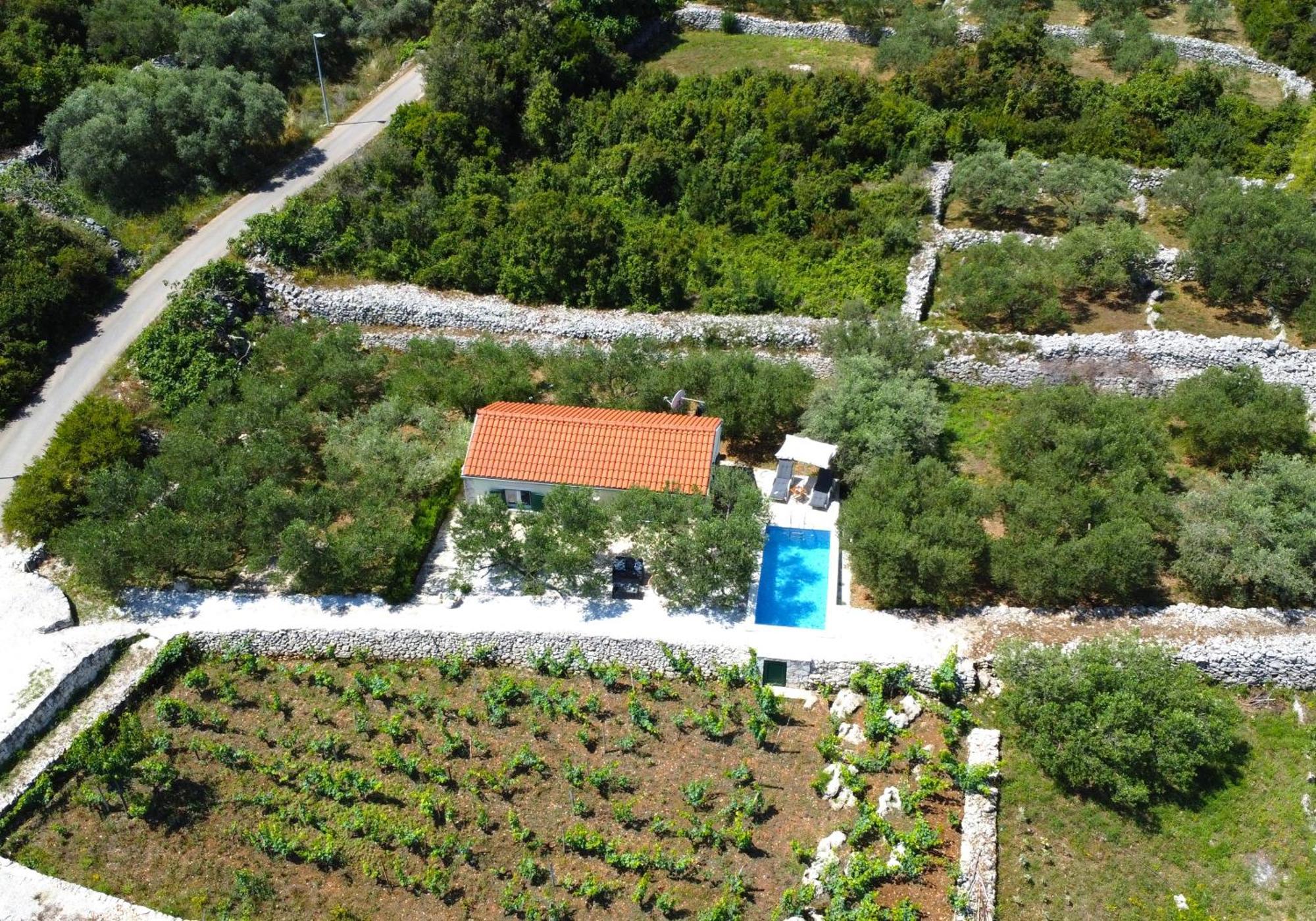 Villa Vineyard House & Olive Grove House Račišće Exterior foto