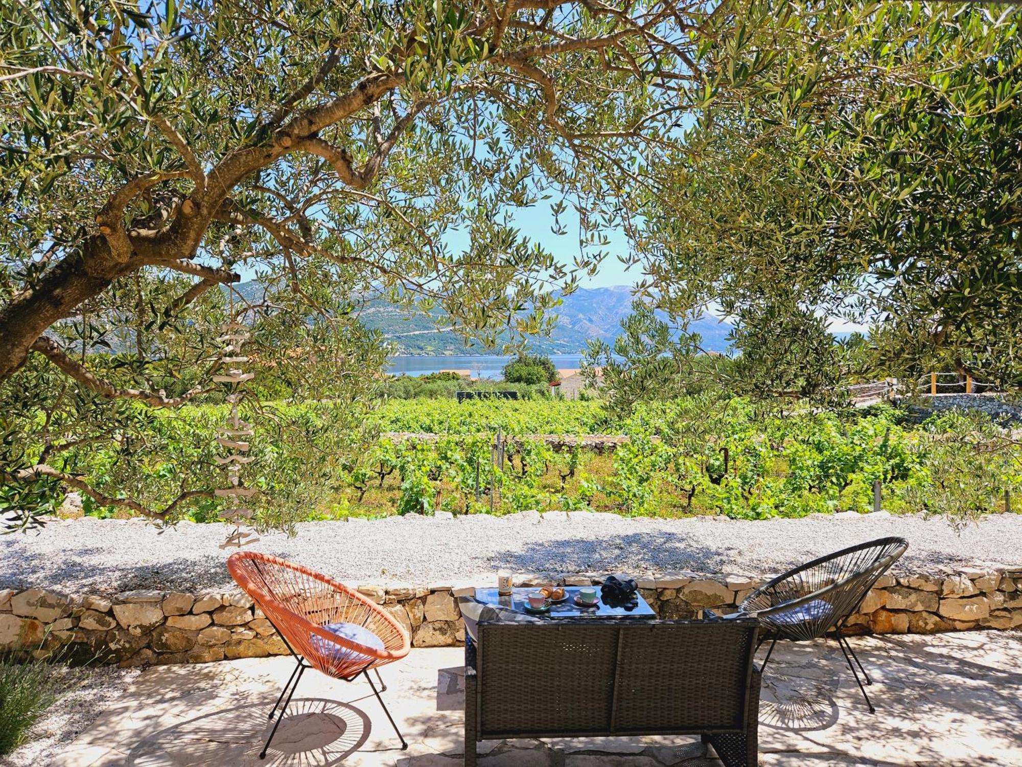 Villa Vineyard House & Olive Grove House Račišće Exterior foto