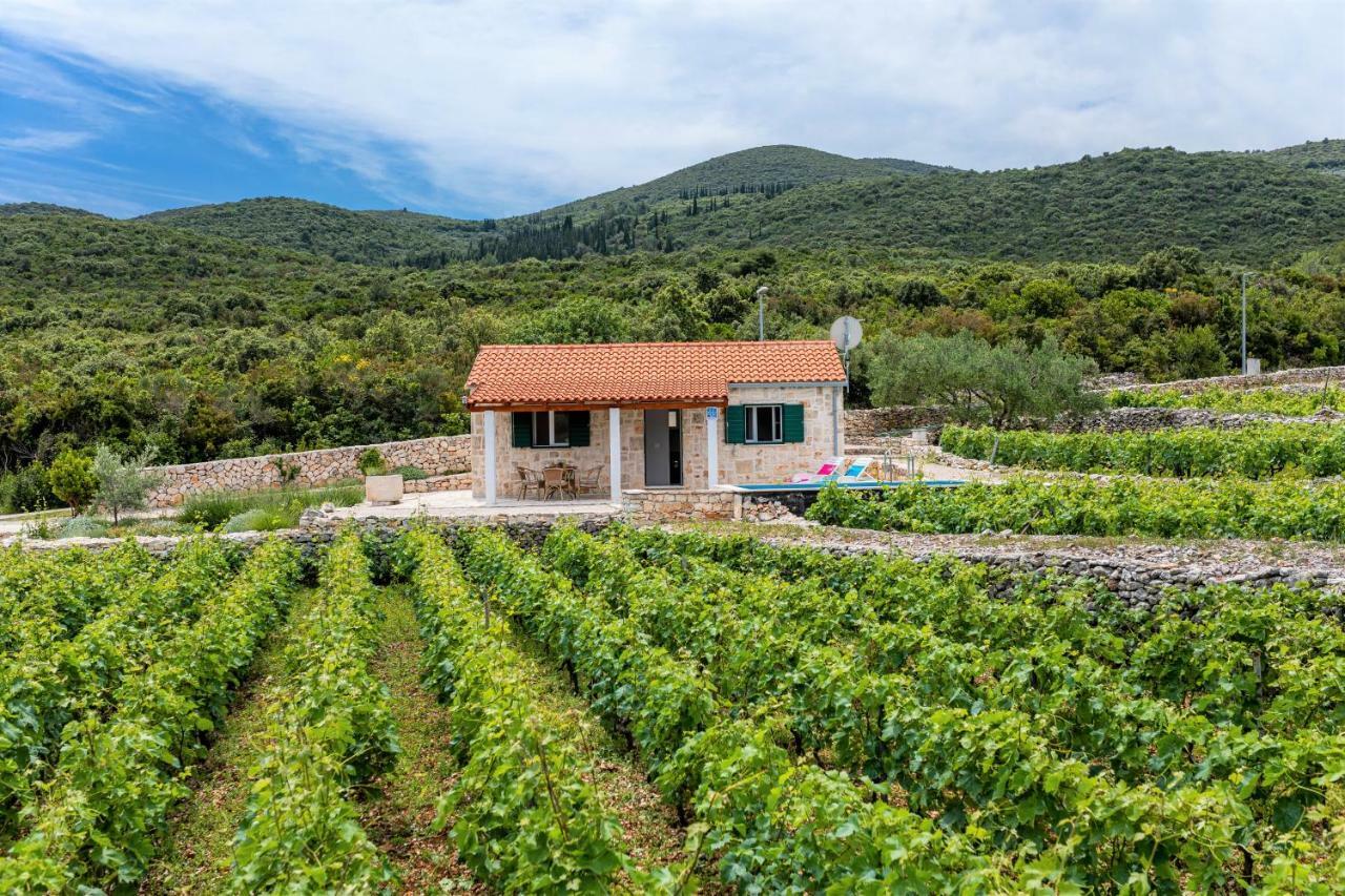 Villa Vineyard House & Olive Grove House Račišće Exterior foto