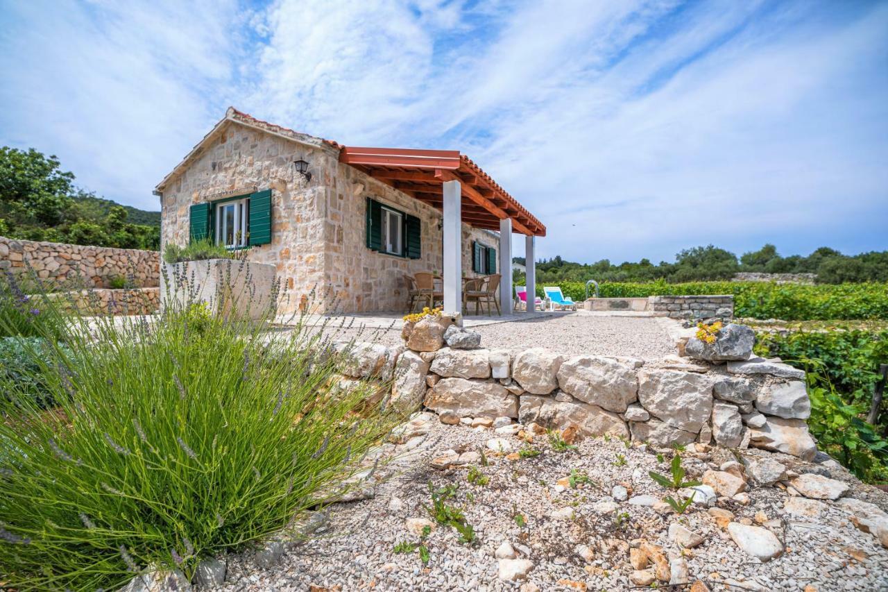 Villa Vineyard House & Olive Grove House Račišće Exterior foto