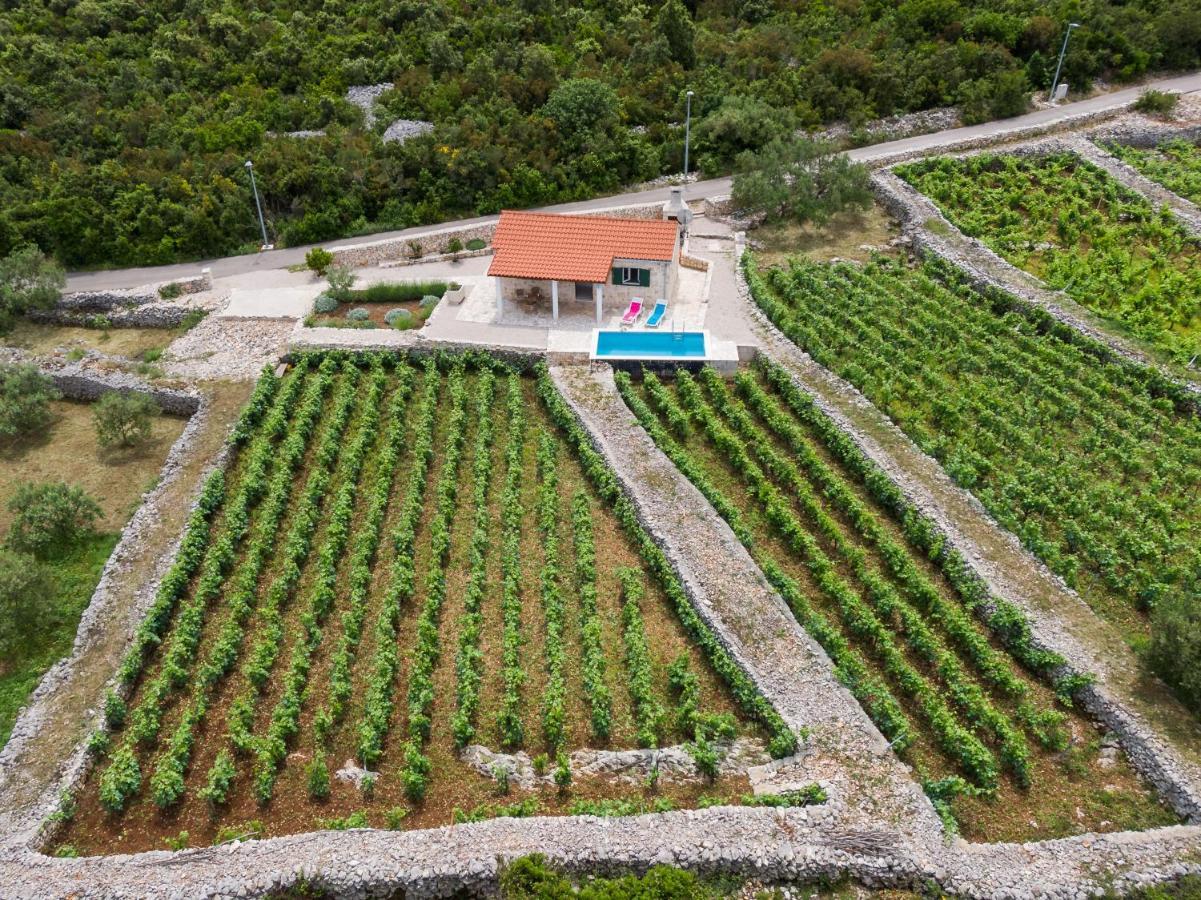 Villa Vineyard House & Olive Grove House Račišće Exterior foto