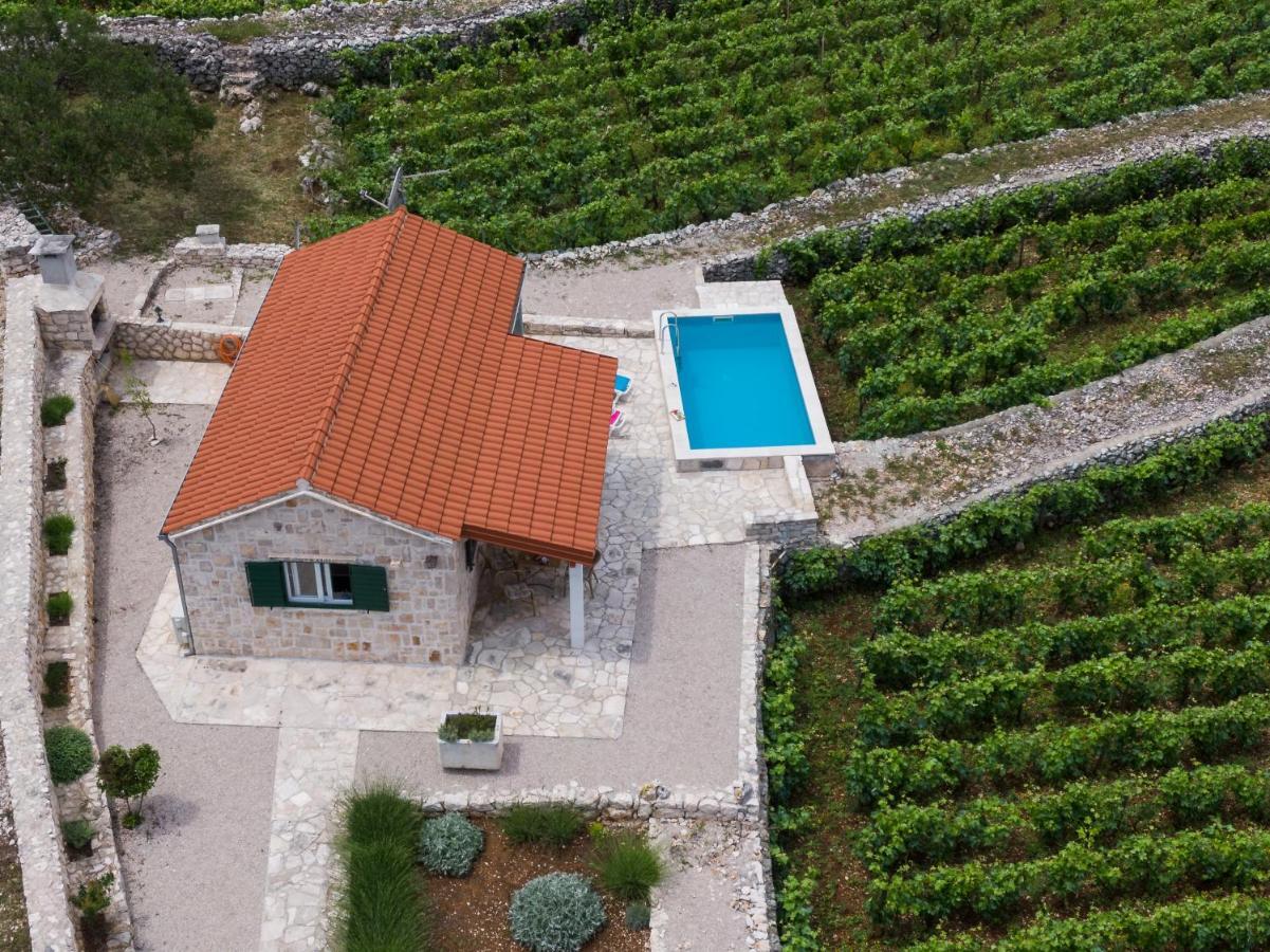 Villa Vineyard House & Olive Grove House Račišće Exterior foto