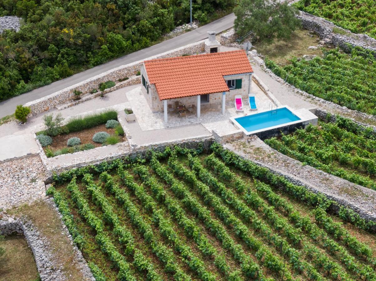 Villa Vineyard House & Olive Grove House Račišće Exterior foto