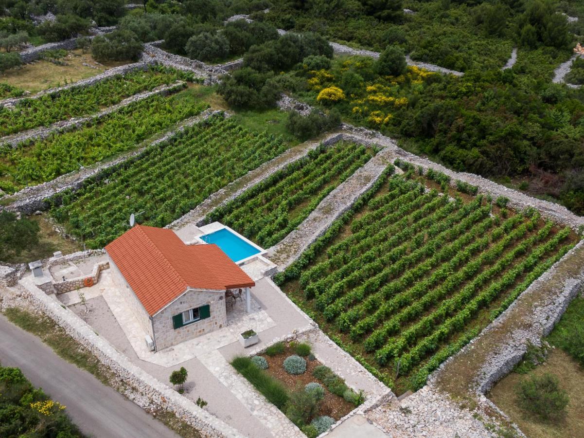 Villa Vineyard House & Olive Grove House Račišće Exterior foto